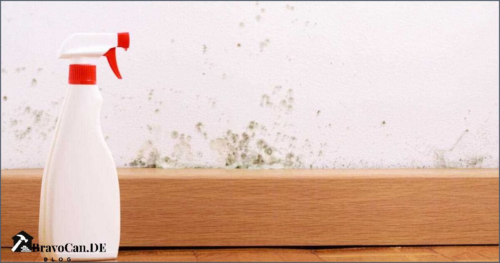Stockflecken entfernen Tipps zur Reinigung von verschmutzter Kleidung Stockflecken entfernen Tipps zur Reinigung von verschmutzter Kleidung