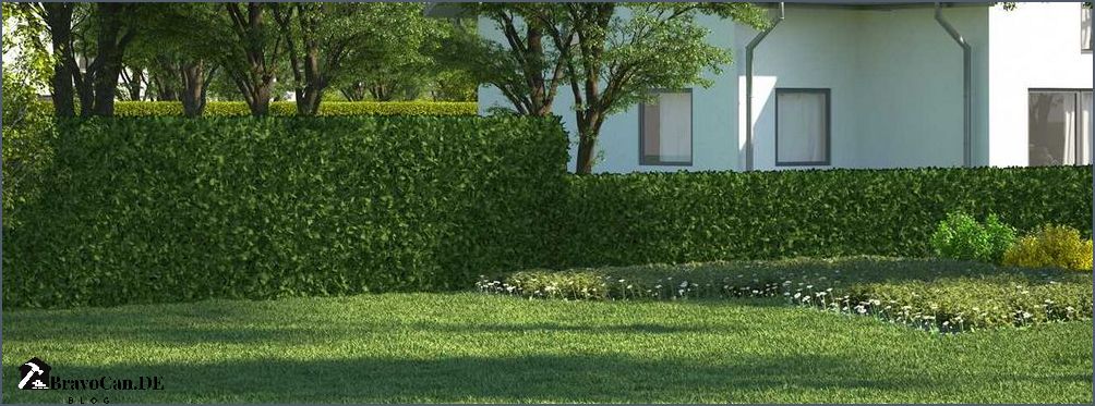 Thuja Hecke entfernen Anleitung und Tipps für eine erfolgreiche Entfernung Thuja Hecke entfernen Anleitung und Tipps für eine erfolgreiche Entfernung
