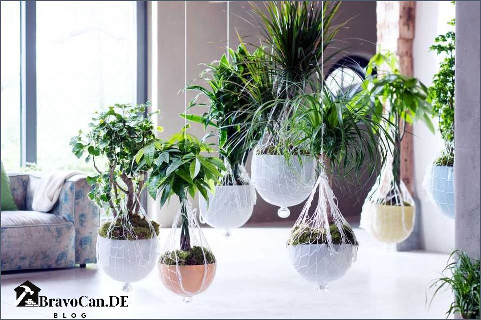 Tipps für große Pflanzen im Wohnzimmer - Die perfekte Dekoration für Ihr Zuhause