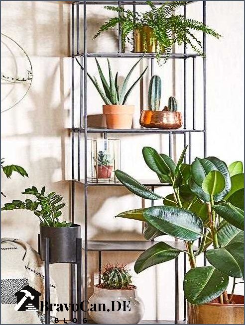 Tipps für große Pflanzen im Wohnzimmer - Die perfekte Dekoration für Ihr Zuhause
