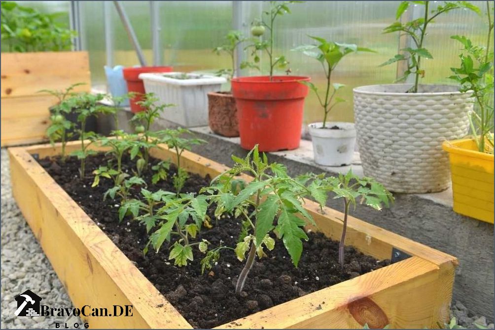 Tomaten Pflanzkasten mit Dach Die perfekte Lösung für den Anbau von Tomaten Tomaten Pflanzkasten mit Dach Die perfekte Lösung für den Anbau von Tomaten