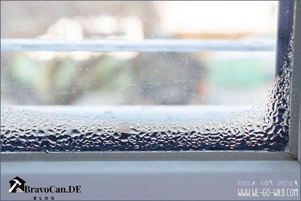 Was tun wenn die Fenster über Nacht nass werden Tipps und Lösungen