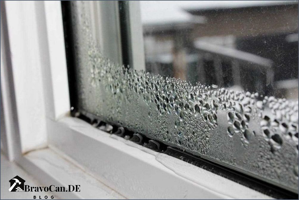 Wasser am Fenster Ursachen Prävention und Lösungen