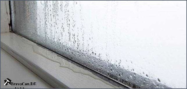 Wasser am Fenster Ursachen Prävention und Lösungen