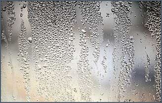 Wasser am Fenster Ursachen Prävention und Lösungen