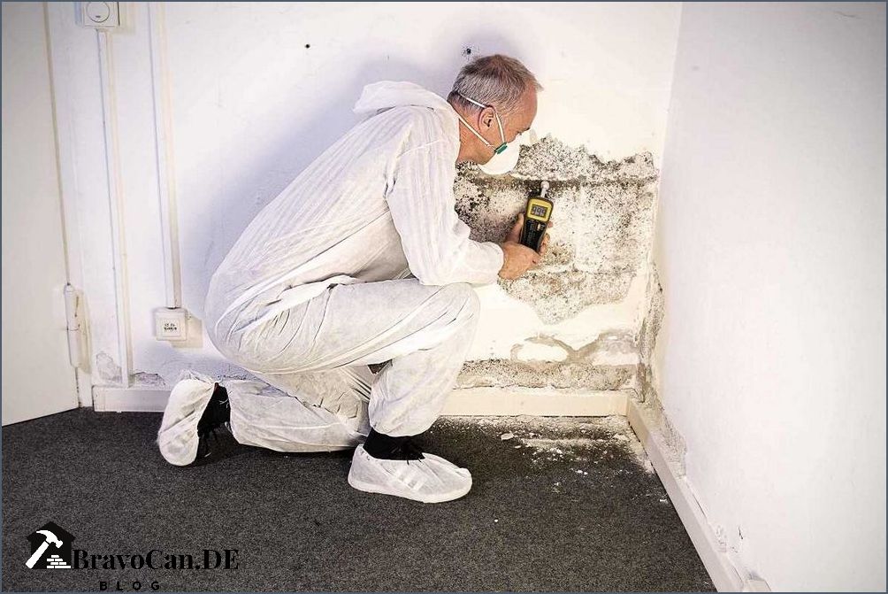 Schimmel an der Decke entfernen Tipps und Tricks zur Schimmelbekämpfung