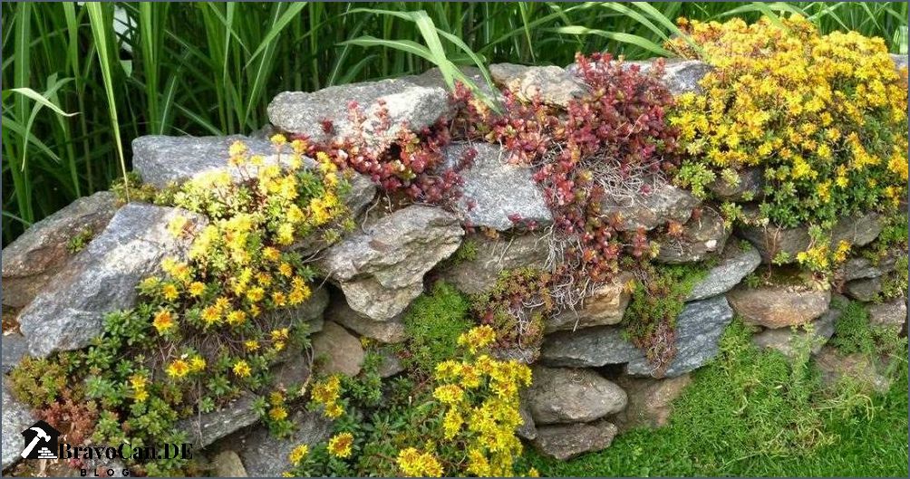 Steinmauer überhängende Pflanzen Wie Sie eine atemberaubende Mauer schaffen