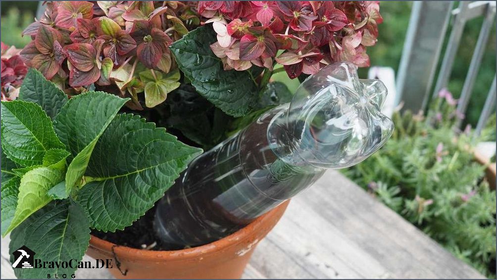 Tomaten bewässerung urlaub Tipps und Tricks für die Bewässerung Ihrer Pflanzen während Ihrer Abwesenheit