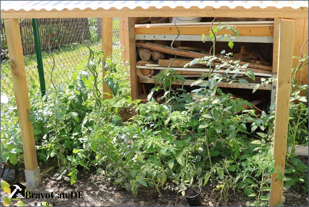 Überdachung für Tomaten Schutz und Wachstumsförderung für Ihre Pflanzen