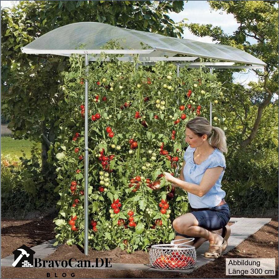 Überdachung für Tomaten Schutz und Wachstumsförderung für Ihre Pflanzen