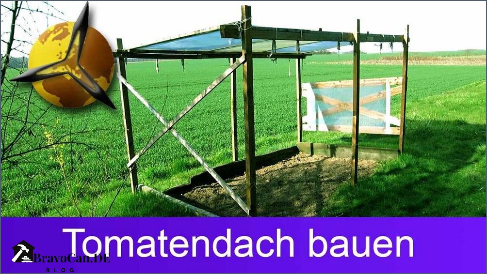 Überdachung für Tomaten Schutz und Wachstumsförderung für Ihre Pflanzen