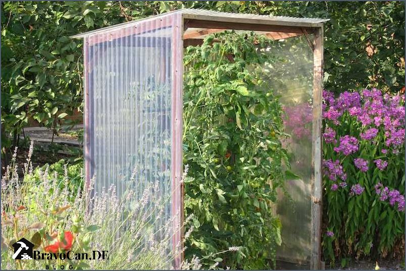 Überdachung für Tomaten Schutz und Wachstumsförderung für Ihre Pflanzen