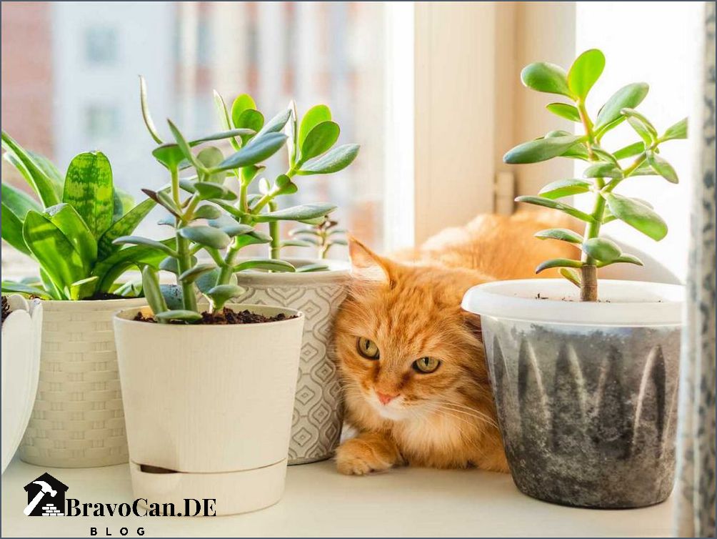 Ungiftige Blumen für Katzen Die besten Pflanzen für Haustiere