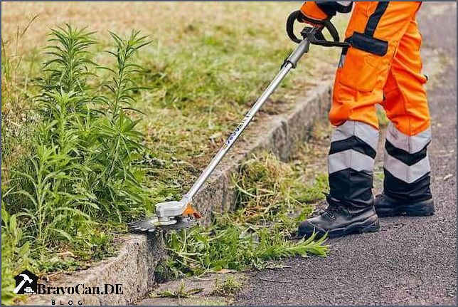 Unkraut entfernen Gerät Stihl Tipps und Empfehlungen