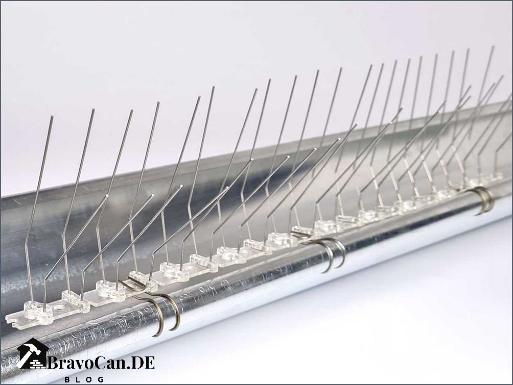 Vogelschutz für Dachrinne Tipps und Tricks zum Schutz vor Nestbau und Verschmutzung Vogelschutz für Dachrinne Tipps und Tricks zum Schutz vor Nestbau und Verschmutzung