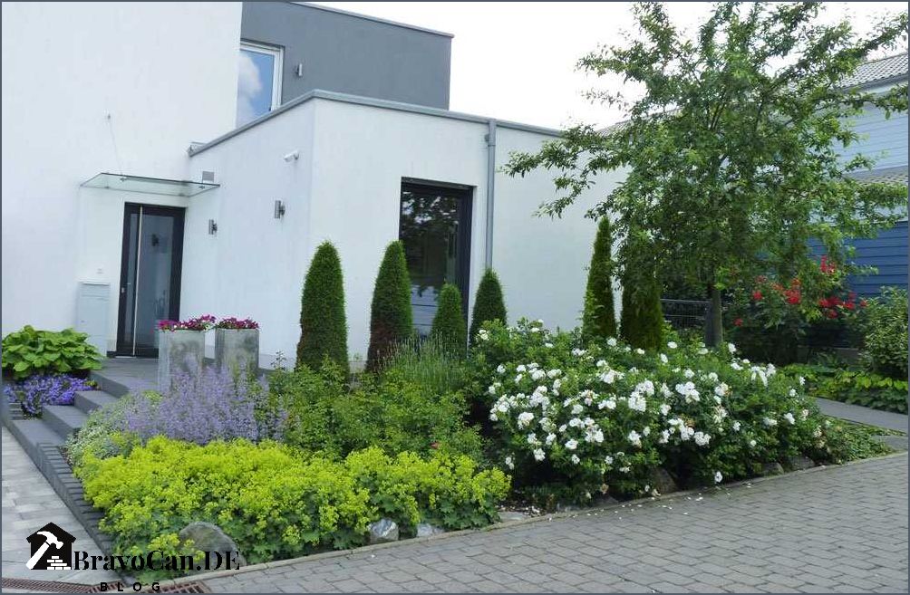 Vorgarten mit Gräsern - Tipps und Ideen für eine natürliche und pflegeleichte Gestaltung