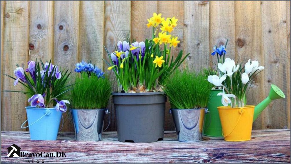 Wann Blumen pflanzen Der beste Zeitpunkt für das Einpflanzen von Blumen
