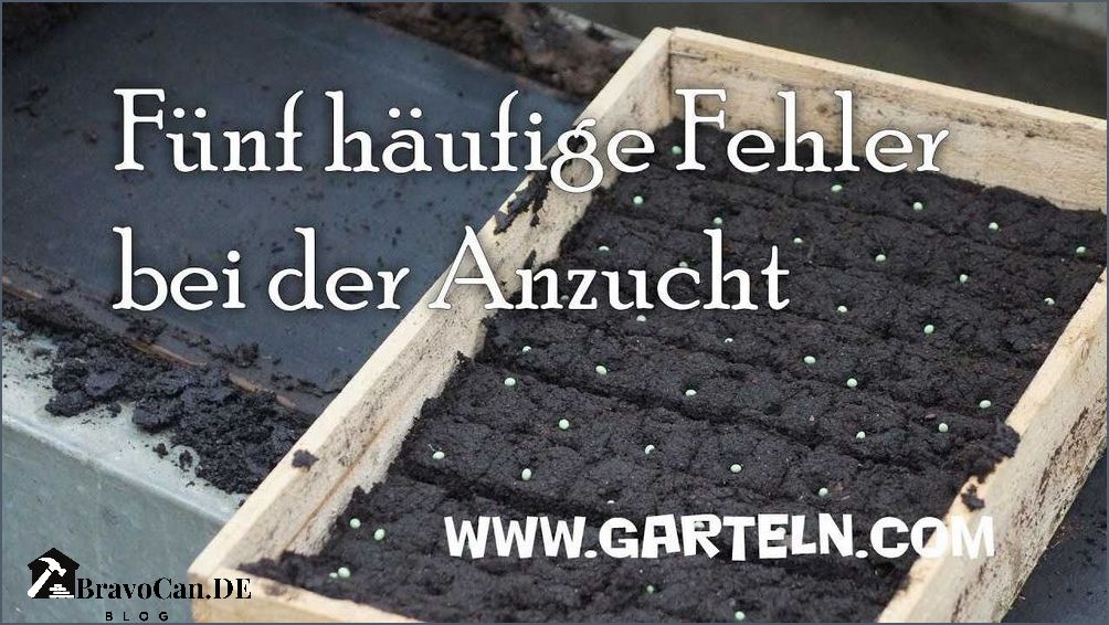 Wann Gemüse vorziehen Tipps und Tricks für den erfolgreichen Anbau Wann Gemüse vorziehen Tipps und Tricks für den erfolgreichen Anbau