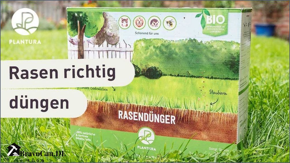 Wann ist der richtige Zeitpunkt um zu düngen Wann ist der richtige Zeitpunkt um zu düngen