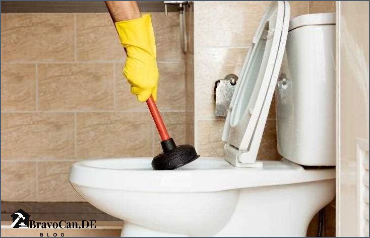 Warum Sie keinen Rohrreiniger in die Toilette geben sollten Warum Sie keinen Rohrreiniger in die Toilette geben sollten