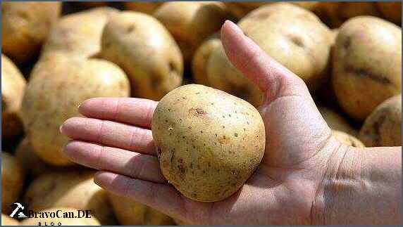 Warum werden Kartoffeln nicht weich mögliche Gründe und Lösungen Warum werden Kartoffeln nicht weich mögliche Gründe und Lösungen