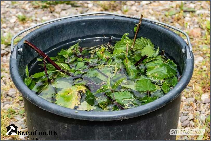 Was hilft gegen Brennnesseln im Garten Tipps und Tricks Was hilft gegen Brennnesseln im Garten Tipps und Tricks