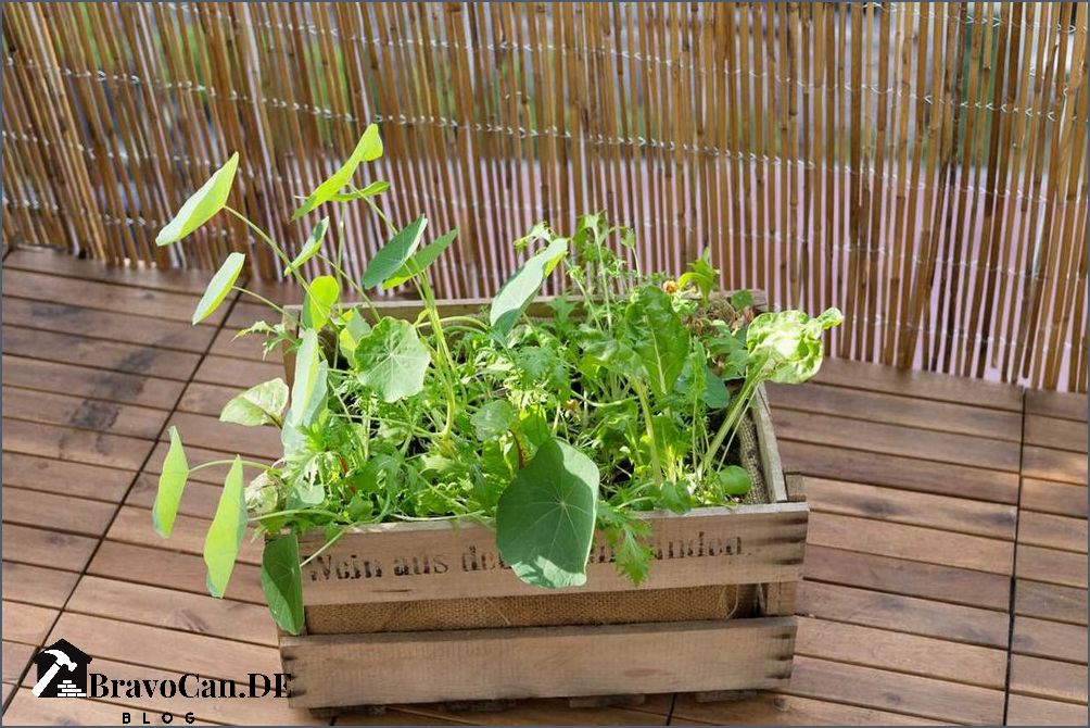 Was kann man im April pflanzen Tipps und Ideen für den Garten Was kann man im April pflanzen Tipps und Ideen für den Garten