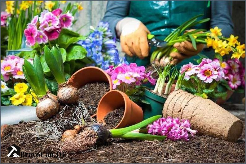 Was kann man im April pflanzen Tipps und Ideen für den Garten Was kann man im April pflanzen Tipps und Ideen für den Garten