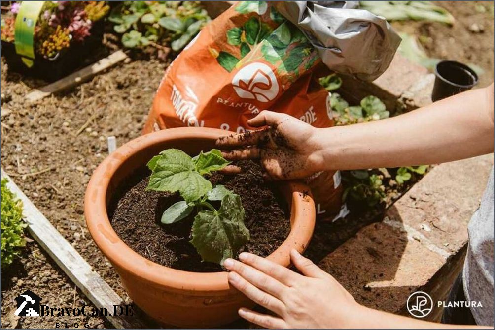 Was neben Gurken pflanzen Eine Anleitung für den erfolgreichen Gemüsegarten