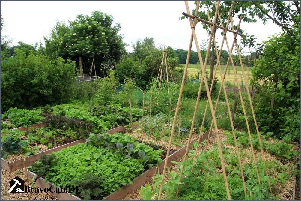 Was neben Gurken pflanzen Eine Anleitung für den erfolgreichen Gemüsegarten