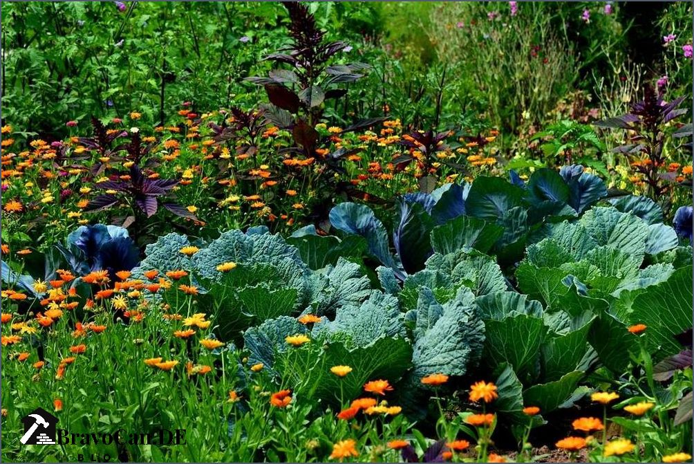 Was neben Gurken pflanzen Eine Anleitung für den erfolgreichen Gemüsegarten