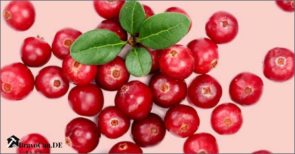 Was sind Cranberries Alles was Sie über diese gesunden Beeren wissen müssen Was sind Cranberries Alles was Sie über diese gesunden Beeren wissen müssen