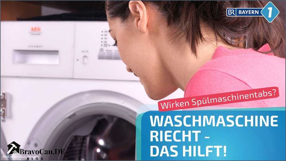 Was tun wenn die Miele Waschmaschine trotz Reinigung stinkt