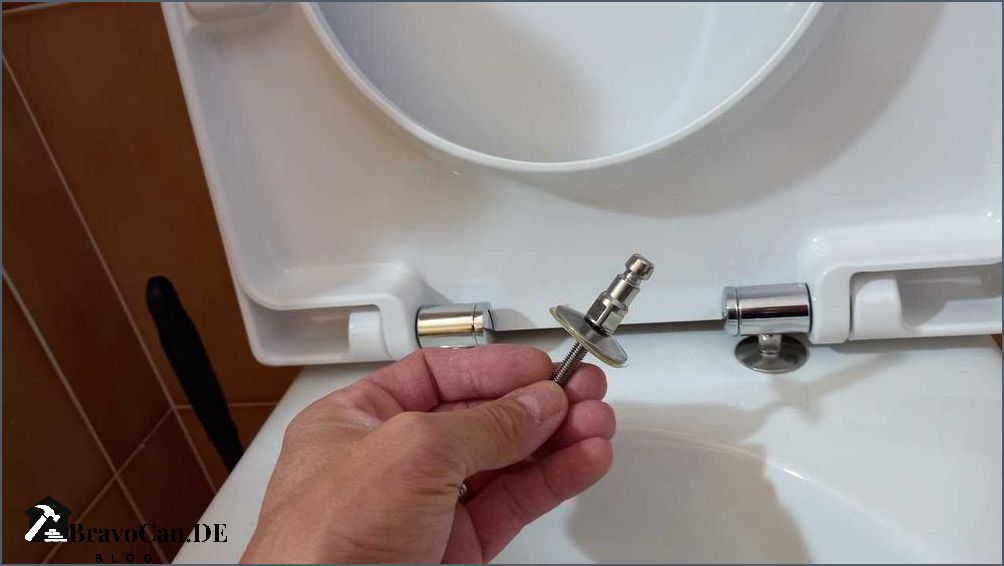 Wc Sitz Steckbefestigung Von Oben Losen