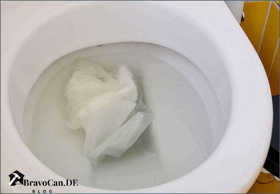 WC verstopft Was tun wenn das Wasser steht WC verstopft Was tun wenn das Wasser steht