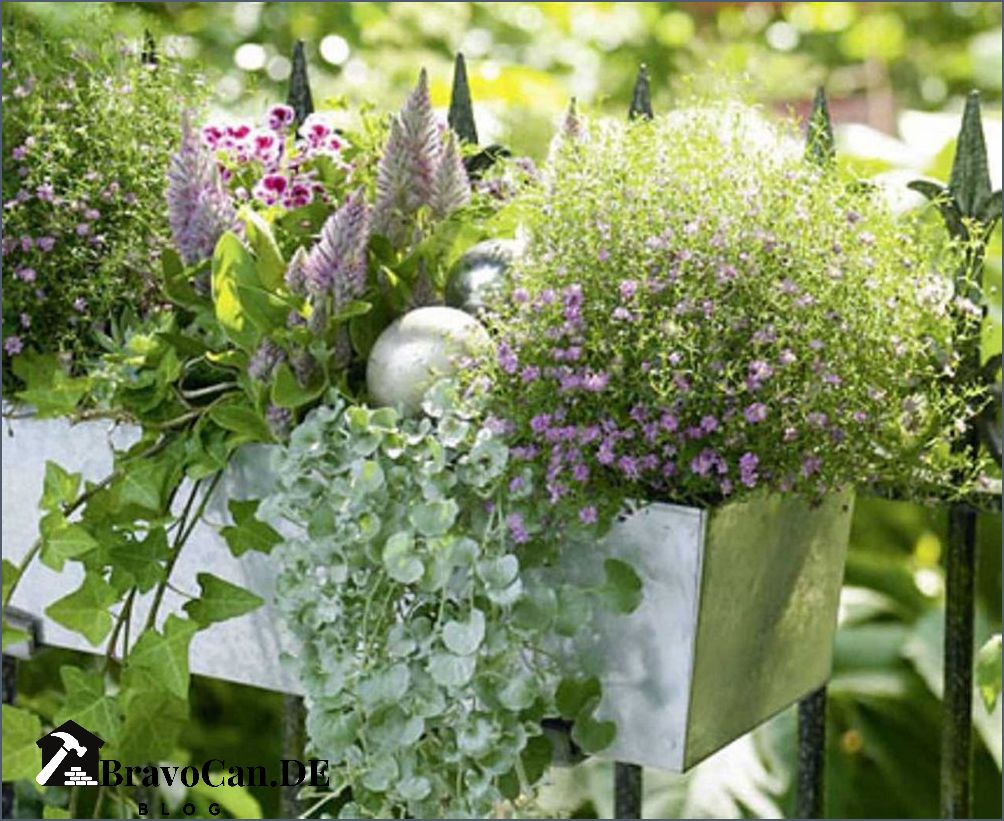 Welche Blumen kann ich jetzt in Balkonkästen pflanzen