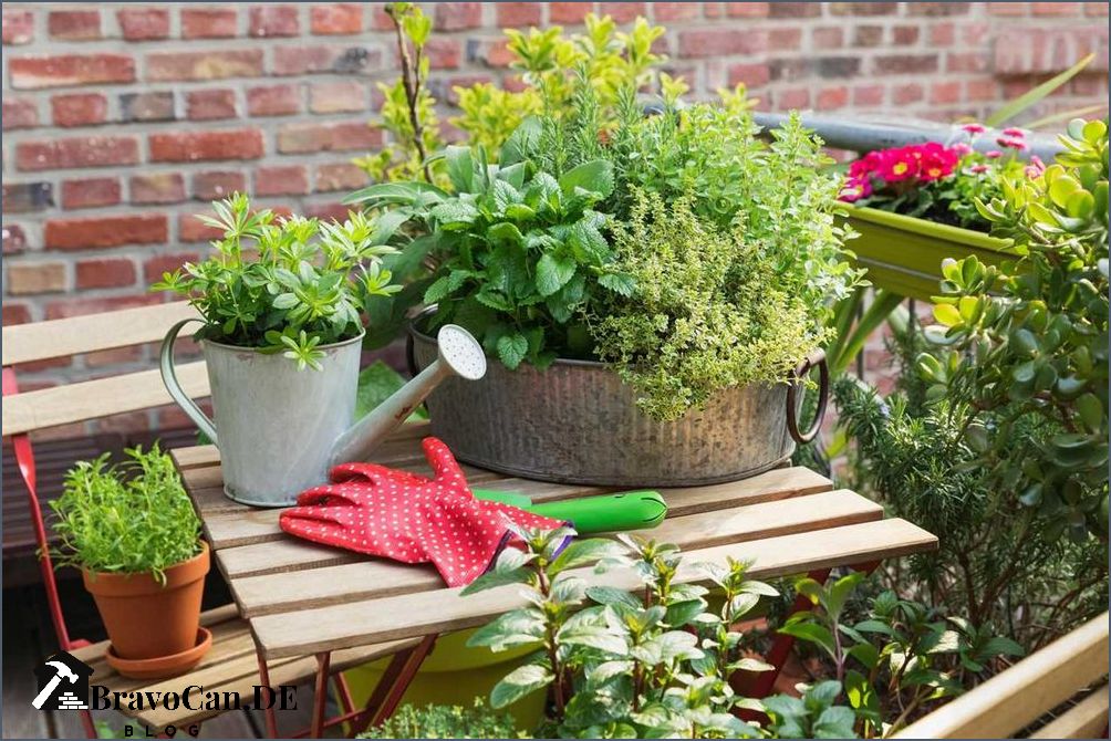 Welche Kräuter sind winterhart Die besten winterharten Kräuter für den Garten