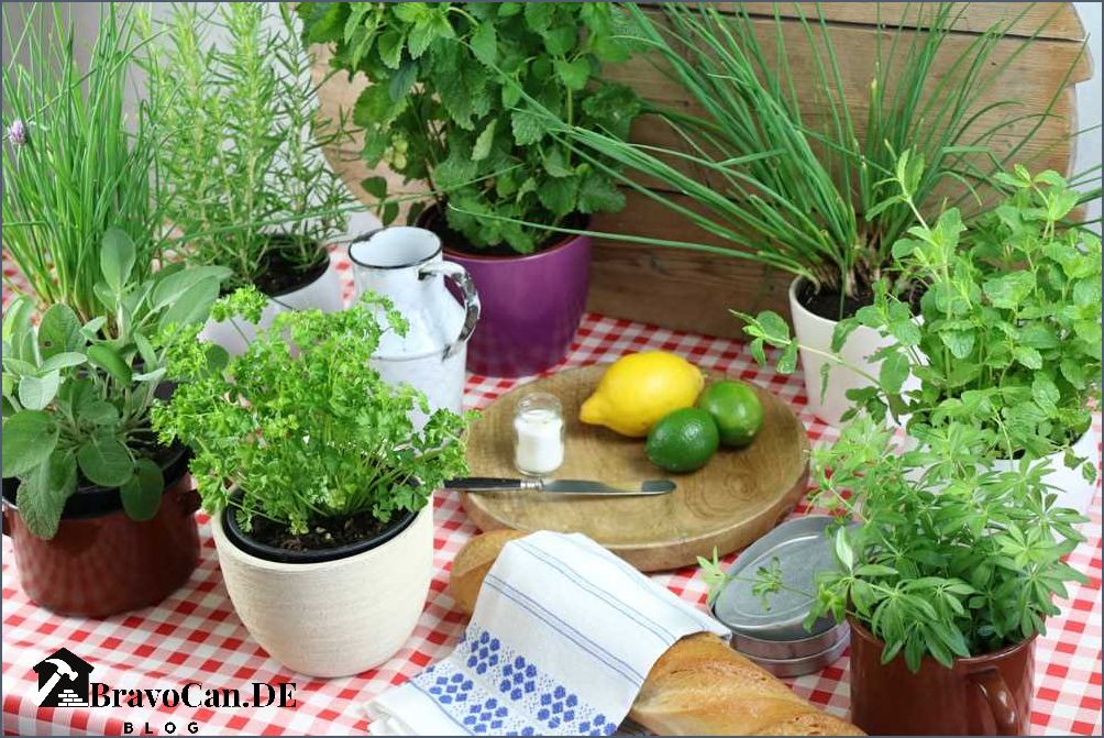 Welche Kräuter sind winterhart Die besten winterharten Kräuter für den Garten