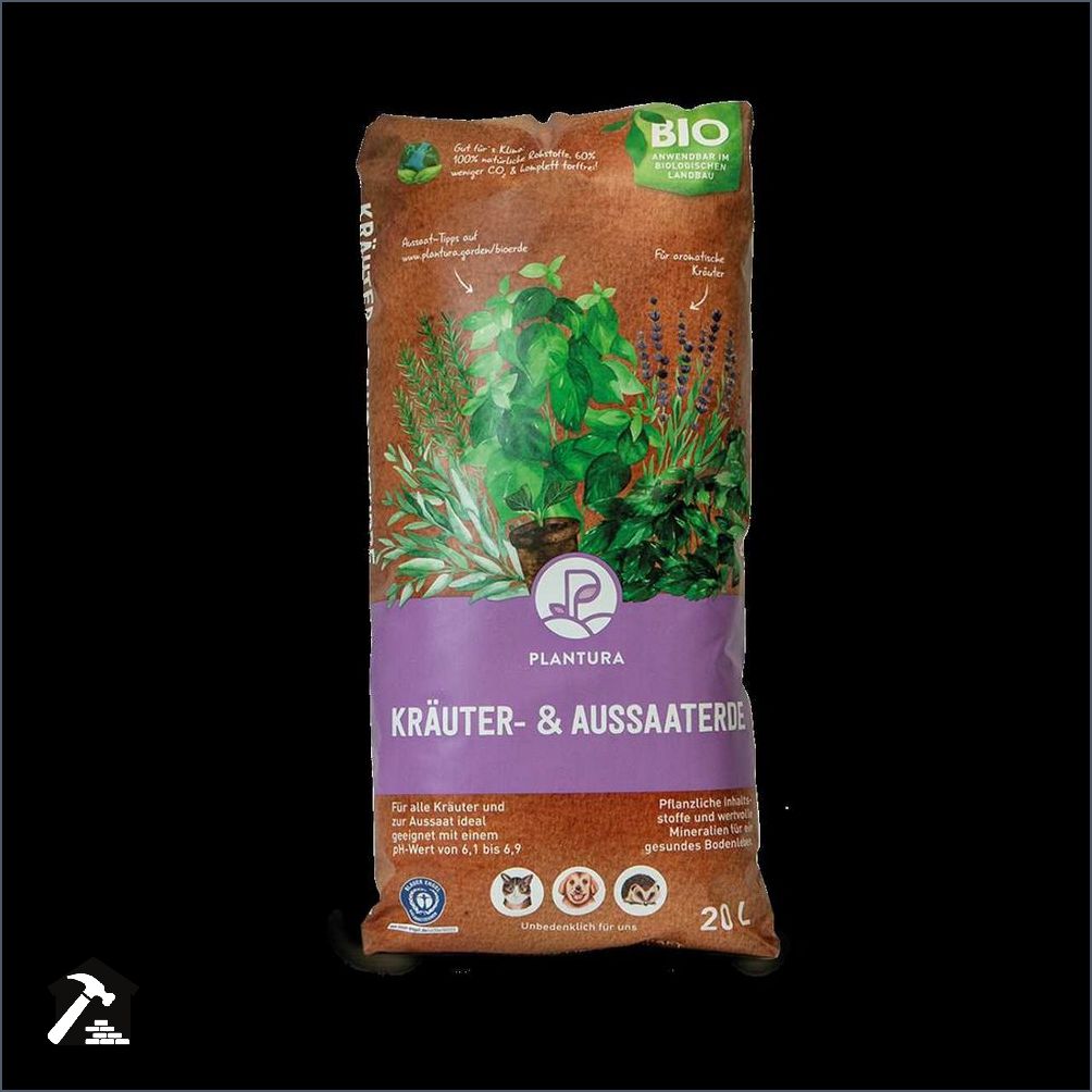 Welche Kräuter sind winterhart Die besten winterharten Kräuter für den Garten