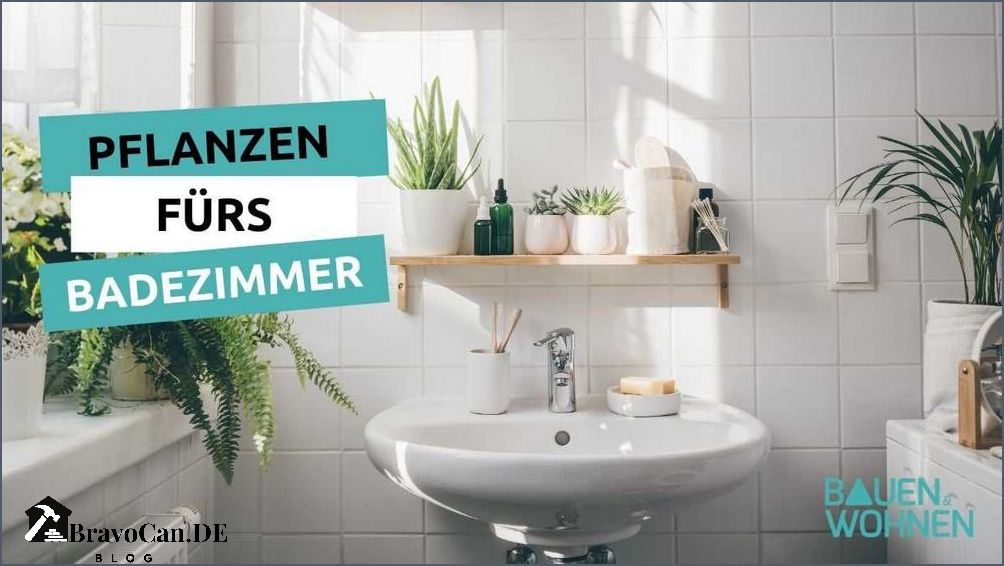 Welche Pflanze fürs Bad Die besten Optionen für eine grüne Oase im Badezimmer