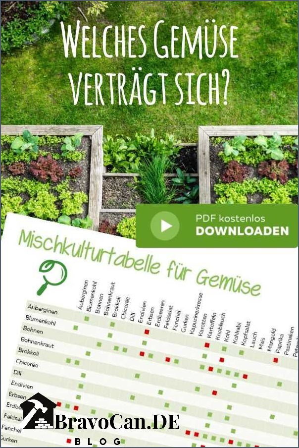 Welche Pflanzen vertragen sich Tabelle für die richtige Auswahl Welche Pflanzen vertragen sich Tabelle für die richtige Auswahl