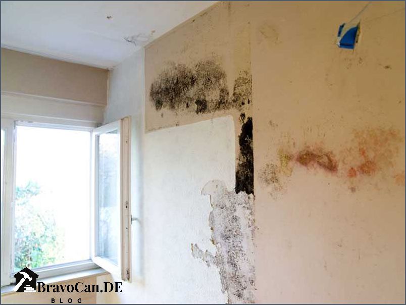 Wie erkennt man Schimmel durch falsches Lüften – Bravocan.DE