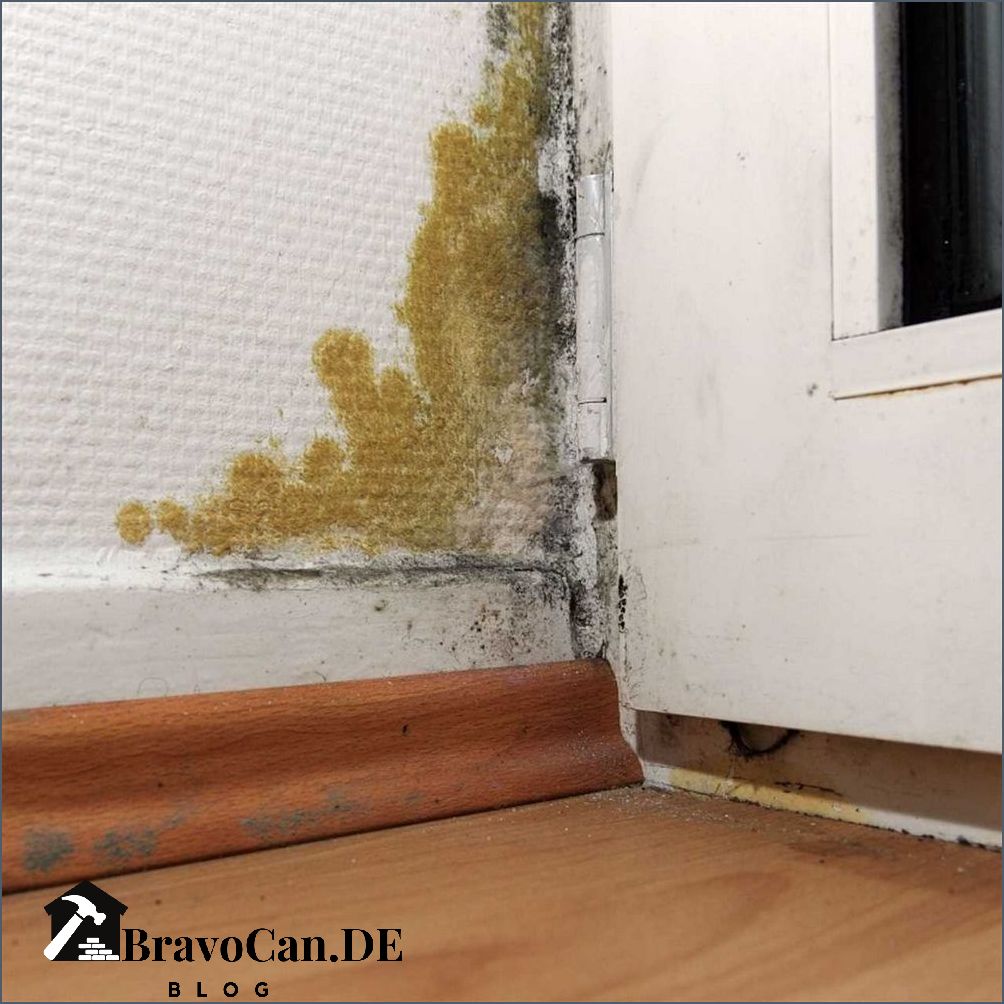 Wie erkennt man Schimmel durch falsches Lüften – Bravocan.DE