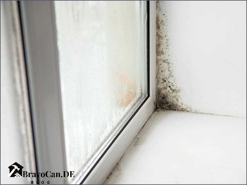 Wie erkennt man Schimmel durch falsches Lüften – Bravocan.DE