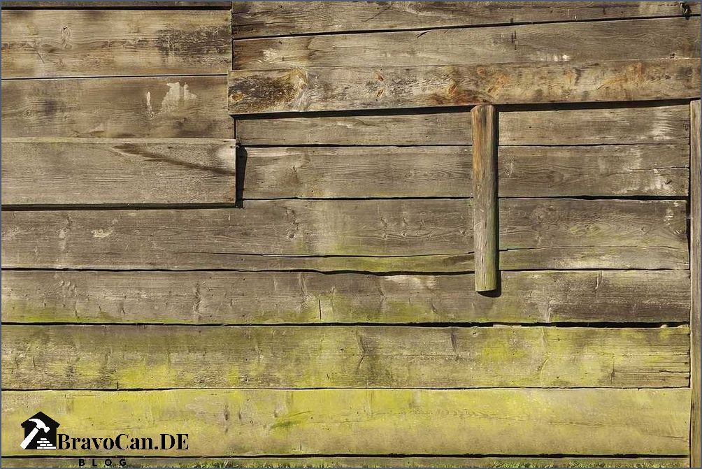 Wie man Moos von Holz entfernt Tipps und Tricks Wie man Moos von Holz entfernt Tipps und Tricks