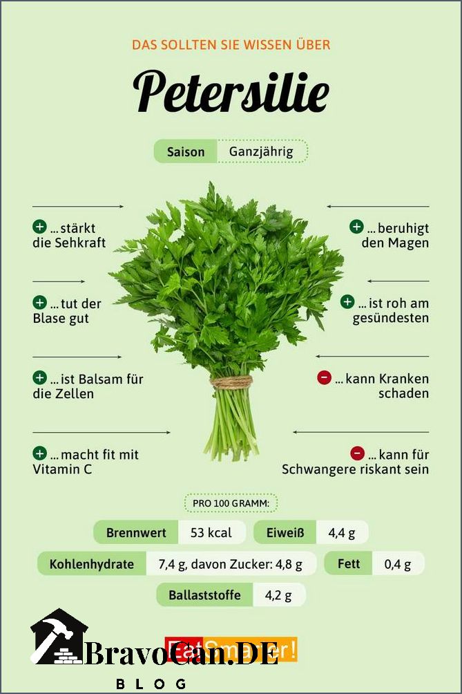 Wie sieht Petersilie aus Erfahren Sie mehr über das Aussehen von Petersilie Wie sieht Petersilie aus Erfahren Sie mehr über das Aussehen von Petersilie