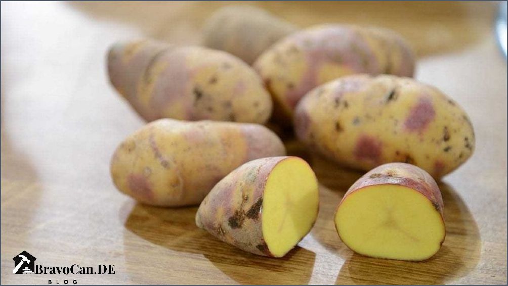 Wie viele Kartoffeln pro Pflanze Tipps für eine reiche Ernte Bravocan.DE