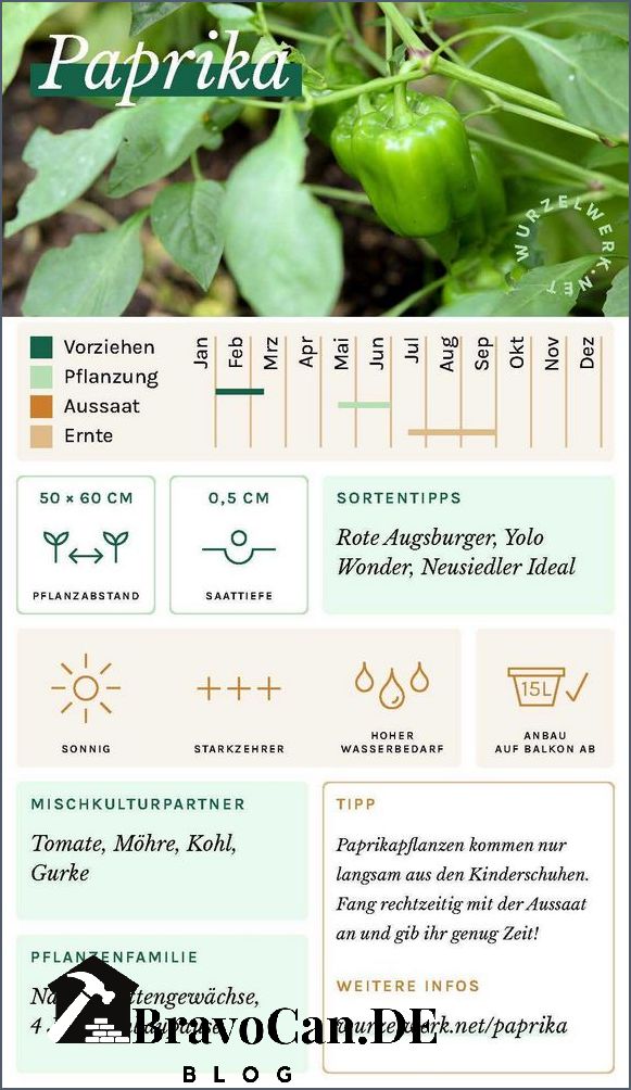 Wie wächst Paprika Tipps für den Anbau von Paprika zu Hause