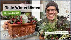 Winterbepflanzung und Herbstbepflanzung für Balkonkästen - Tipps und Ideen Winterbepflanzung und Herbstbepflanzung für Balkonkästen - Tipps und Ideen