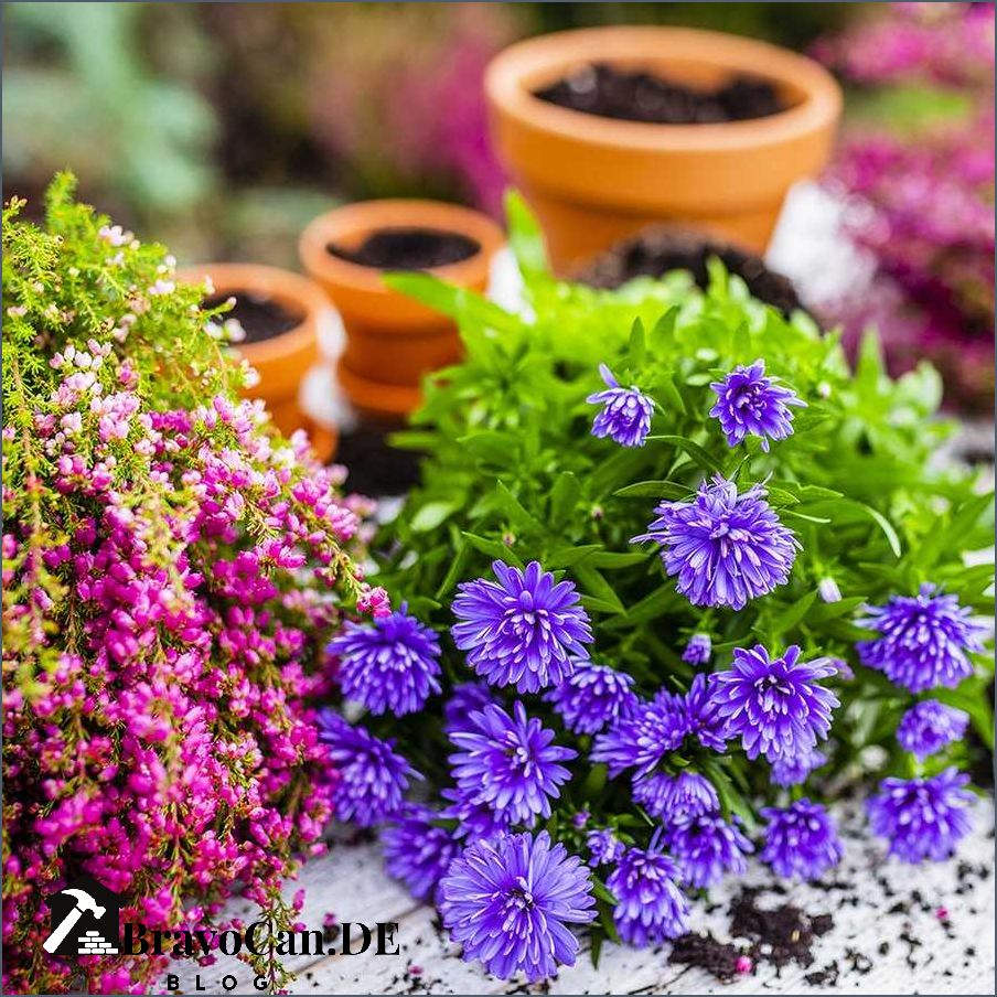 Winterbepflanzung und Herbstbepflanzung für Balkonkästen - Tipps und Ideen Winterbepflanzung und Herbstbepflanzung für Balkonkästen - Tipps und Ideen